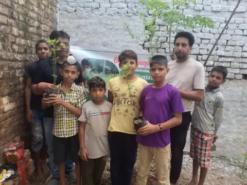 Tree Plantation 2020 – Punjab