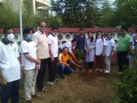 Tree Plantation 2020 – Punjab