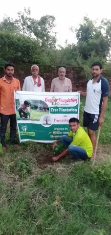 Tree Plantation 2020 – Punjab