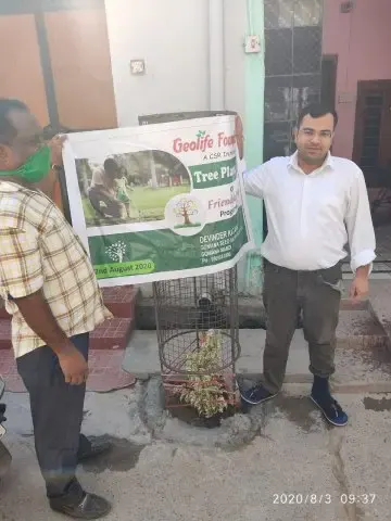 Tree Plantation 2020 – Punjab