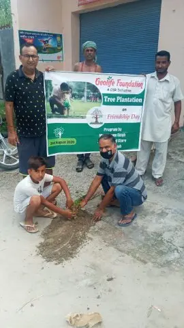 Tree Plantation 2020 – Punjab