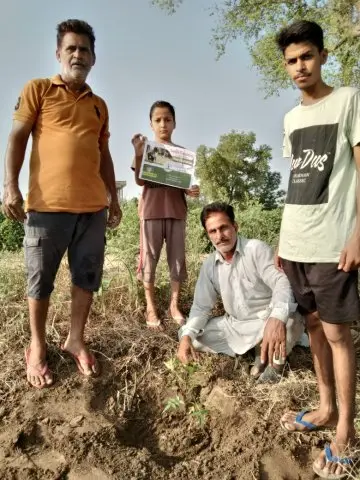 Tree Plantation 2020 – Punjab