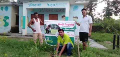 Tree Plantation 2020 – Punjab