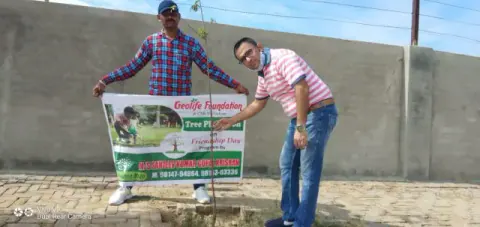Tree Plantation 2020 – Punjab