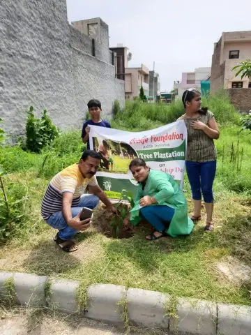 Tree Plantation 2020 – Punjab