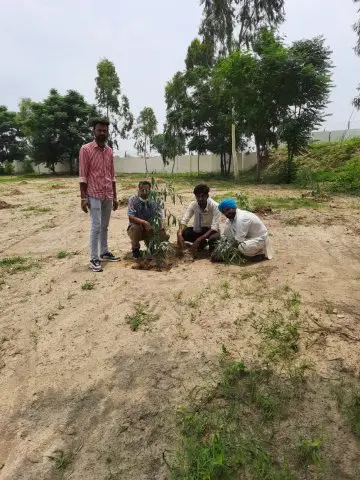 Tree Plantation 2020 – Punjab