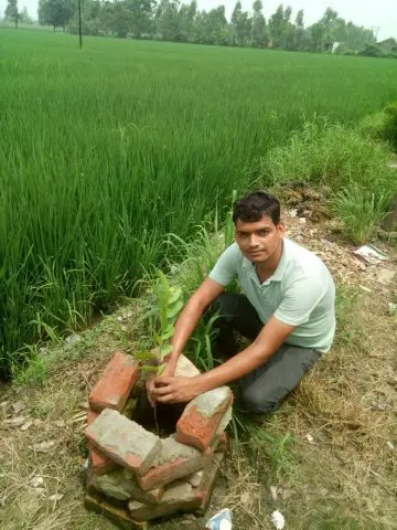 Tree Plantation 2020 – Uttar Pradesh & Uttarakhand