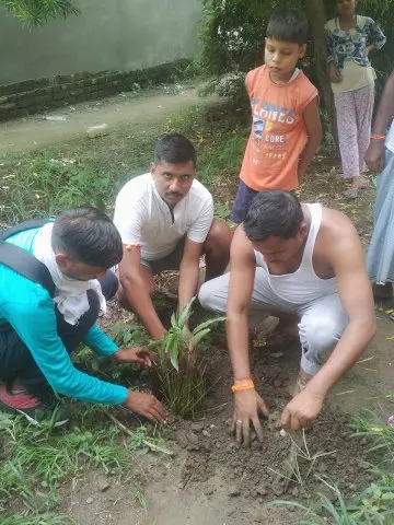 Tree Plantation 2020 – Uttar Pradesh & Uttarakhand