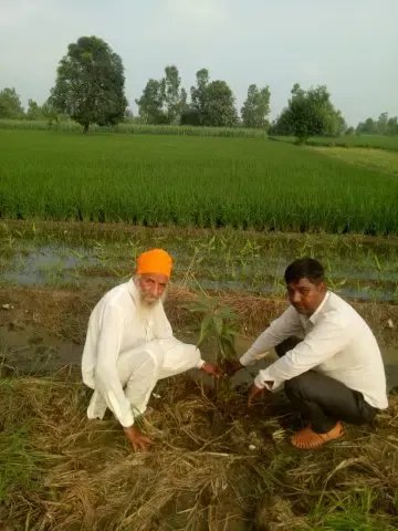 Tree Plantation 2020 – Uttar Pradesh & Uttarakhand