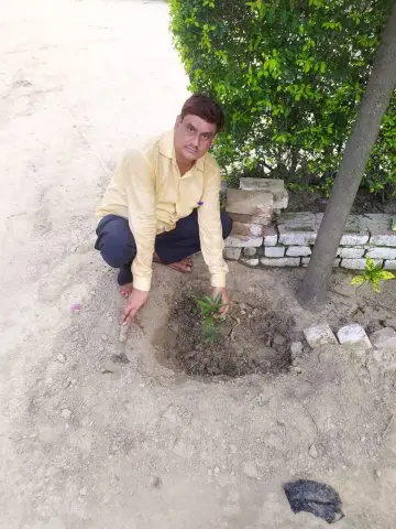 Tree Plantation 2020 – Uttar Pradesh & Uttarakhand