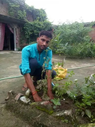 Tree Plantation 2020 – Uttar Pradesh & Uttarakhand