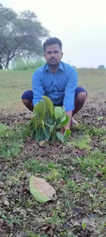 Tree Plantation 2020 – Uttar Pradesh & Uttarakhand