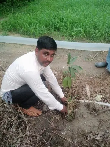 Tree Plantation 2020 – Uttar Pradesh & Uttarakhand
