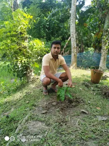 Tree Plantation 2020 – West Bengal