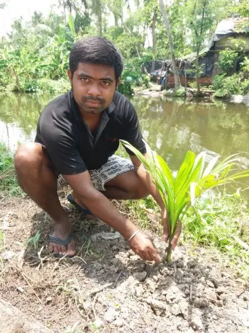 Tree Plantation 2020 – West Bengal