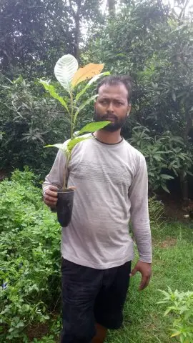 Tree Plantation 2020 – West Bengal