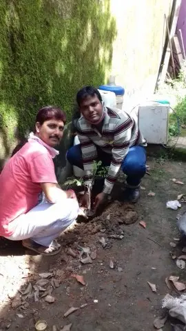 Tree Plantation 2020 – West Bengal