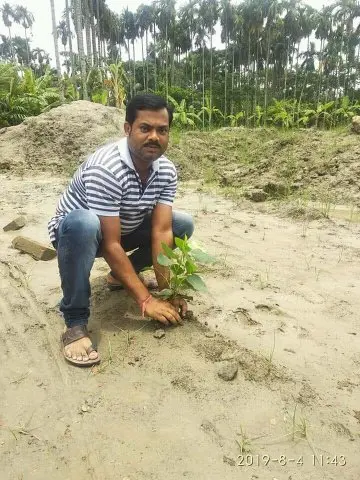 Tree Plantation 2020 – West Bengal
