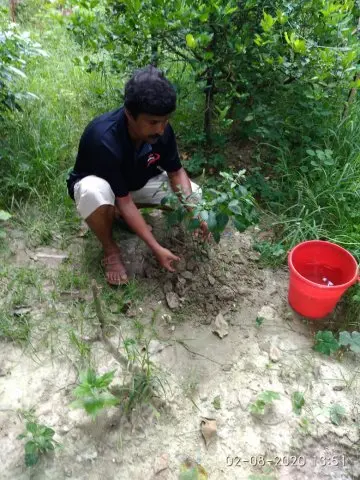 Tree Plantation 2020 – West Bengal