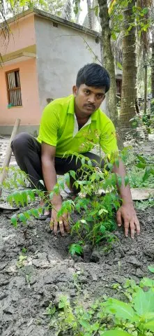 Tree Plantation 2020 – West Bengal