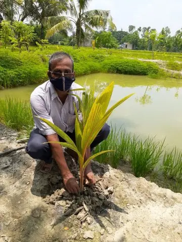 Tree Plantation 2020 – West Bengal