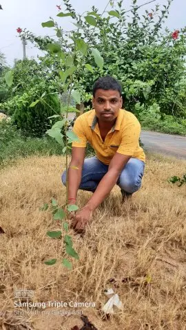 Tree Plantation 2020 – West Bengal