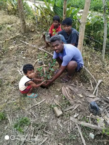 Tree Plantation 2020 – West Bengal