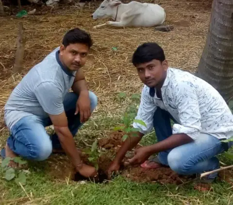 Tree Plantation 2020 – West Bengal