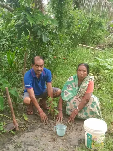 Tree Plantation 2020 – West Bengal