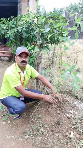 Tree Plantation 2020 – West Bengal