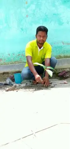 Tree Plantation 2020 – West Bengal