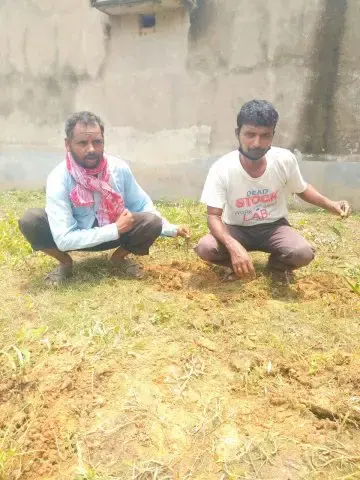 Tree Plantation 2020 – West Bengal