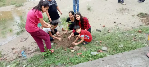 Tree Plantation 2021 – Karnal