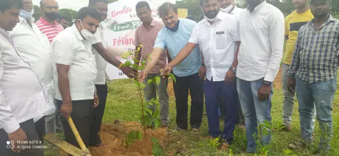 Tree Plantation 2021 – Karnataka