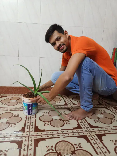 Tree Plantation 2021 – Mumbai – Head Office