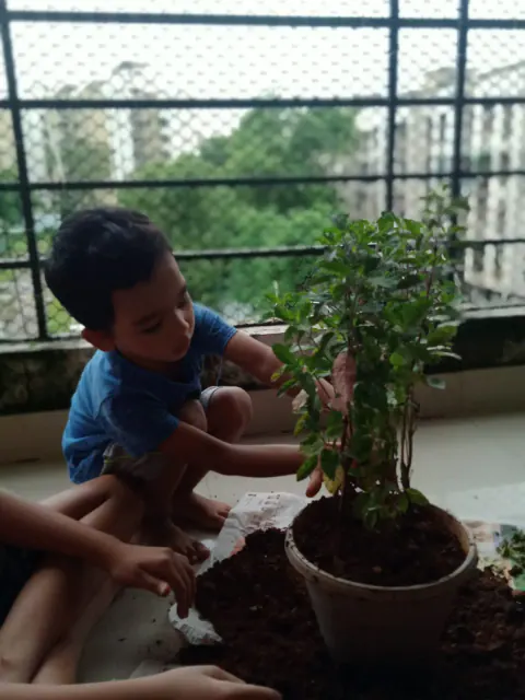 Tree Plantation 2021 – Mumbai – Head Office