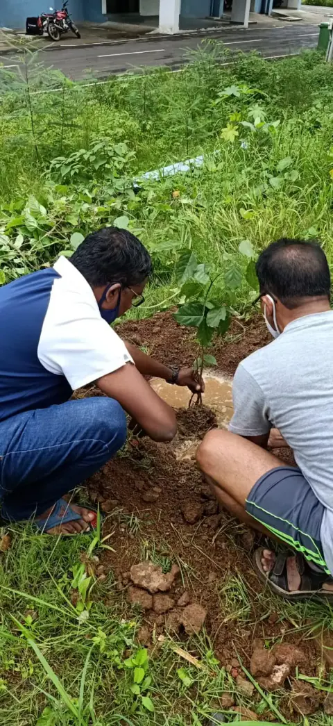 Tree Plantation 2021 – Mumbai – Head Office