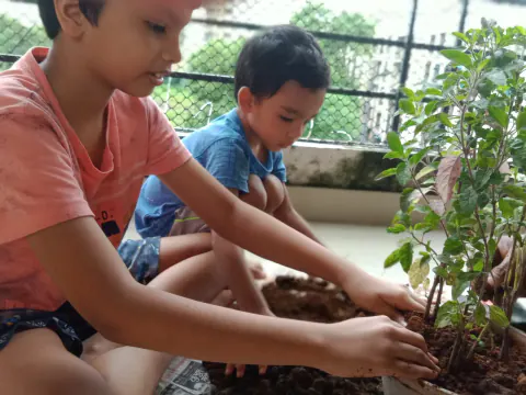 Tree Plantation 2021 – Mumbai – Head Office