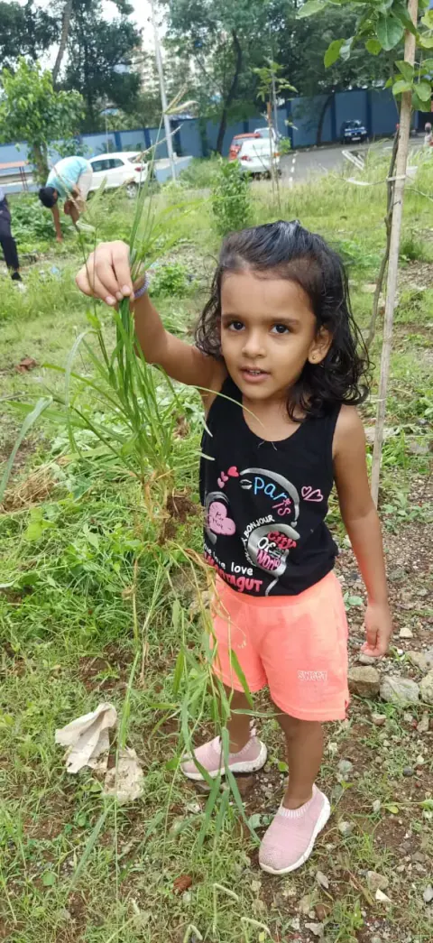 Tree Plantation 2021 – Mumbai – Head Office
