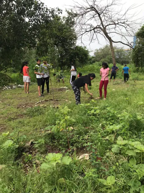 Tree Plantation 2021 – Mumbai – Head Office