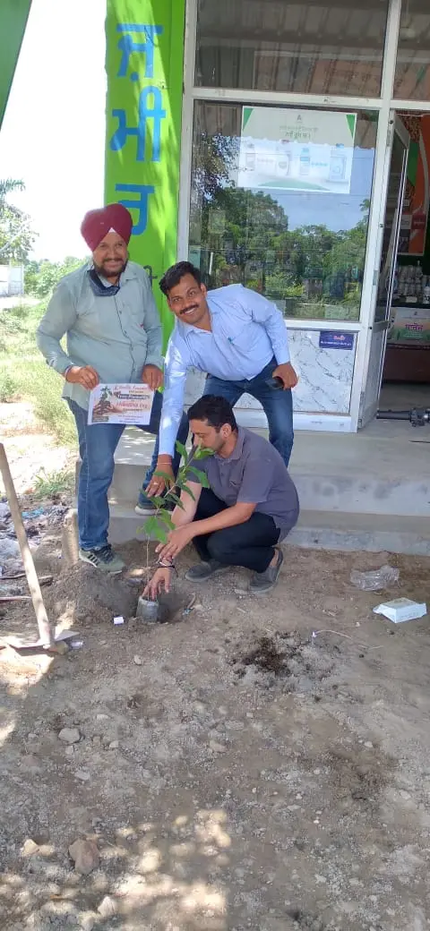 Tree Plantation 2021 – Punjab