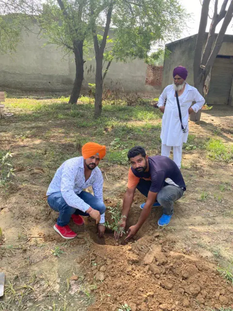 Tree Plantation 2021 – Punjab