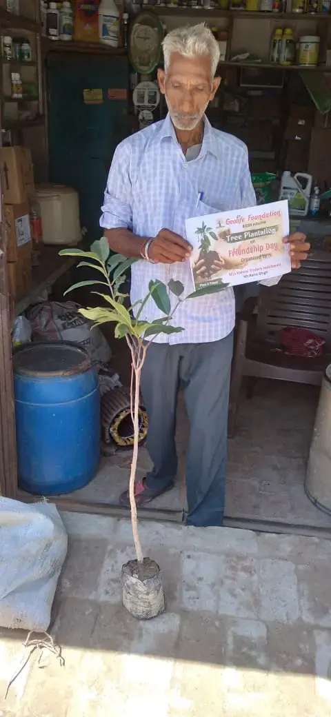 Tree Plantation 2021 – Punjab