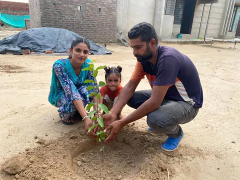 Tree Plantation 2021 – Punjab