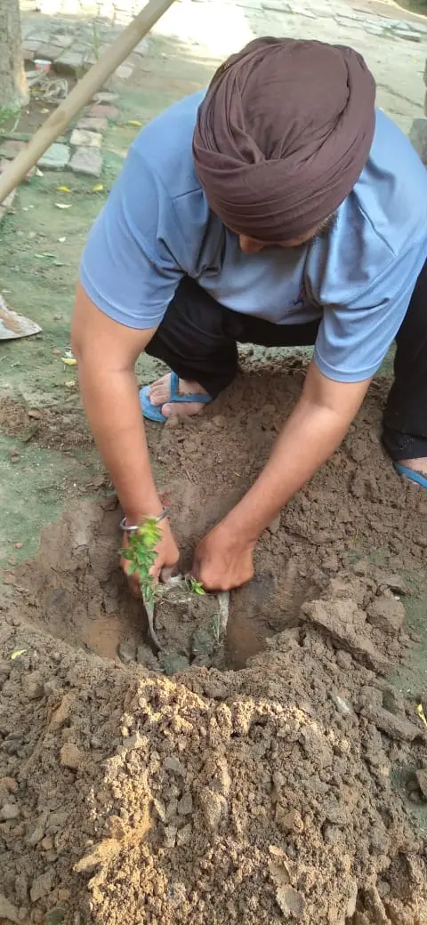 Tree Plantation 2021 – Punjab