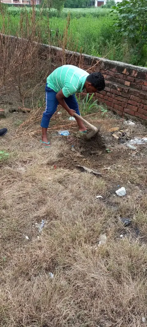 Tree Plantation 2021 – Punjab
