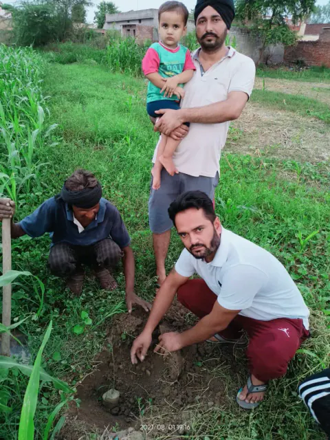 Tree Plantation 2021 – Punjab