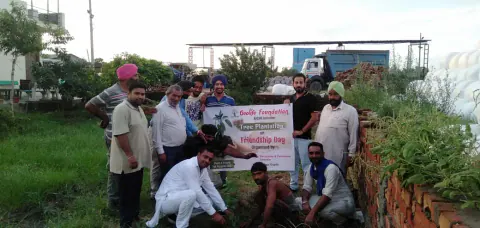 Tree Plantation 2021 – Punjab