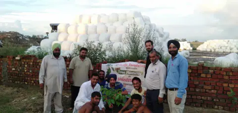 Tree Plantation 2021 – Punjab
