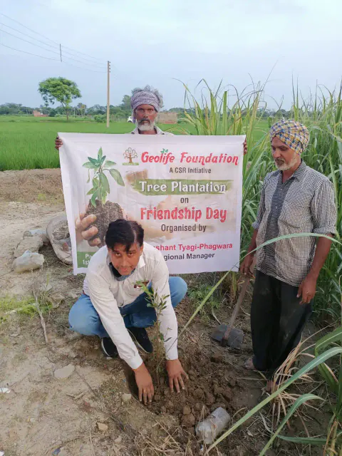 Tree Plantation 2021 – Punjab